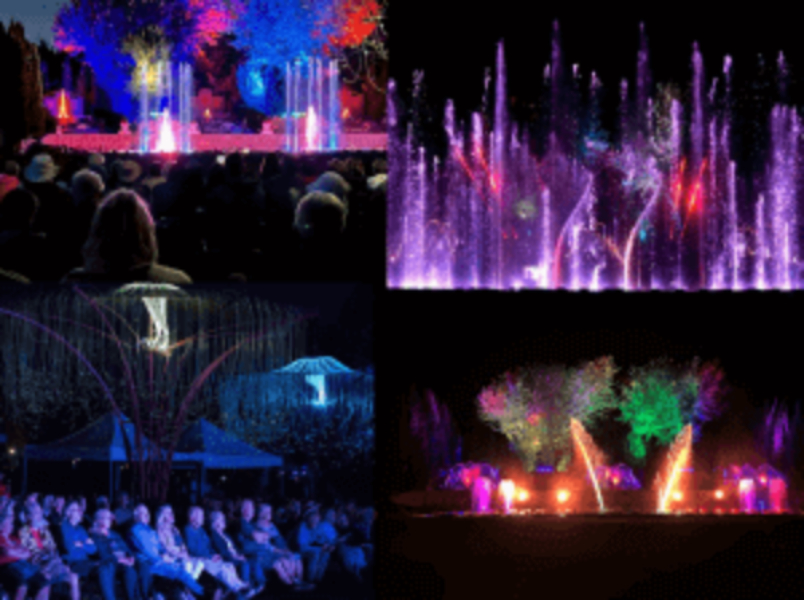 Festival of Fountains - The Night Garden